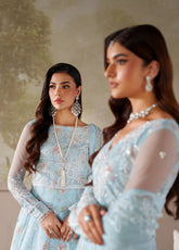 Zaneera By Zarif Embroidered Net 3 Piece Unstitched Suit ZF25ZPE D-ZPE-02 AROOSH